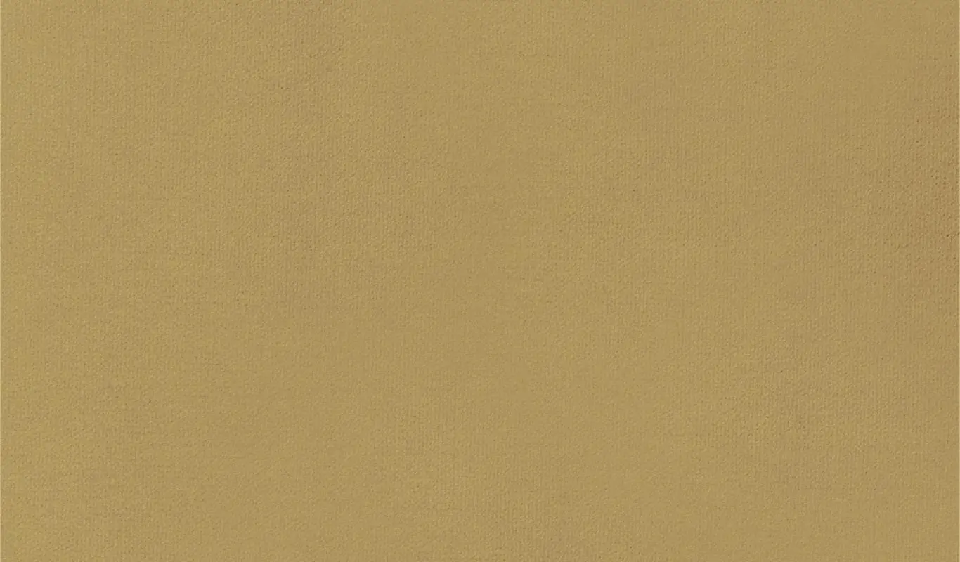Seagrass 22 | Renard