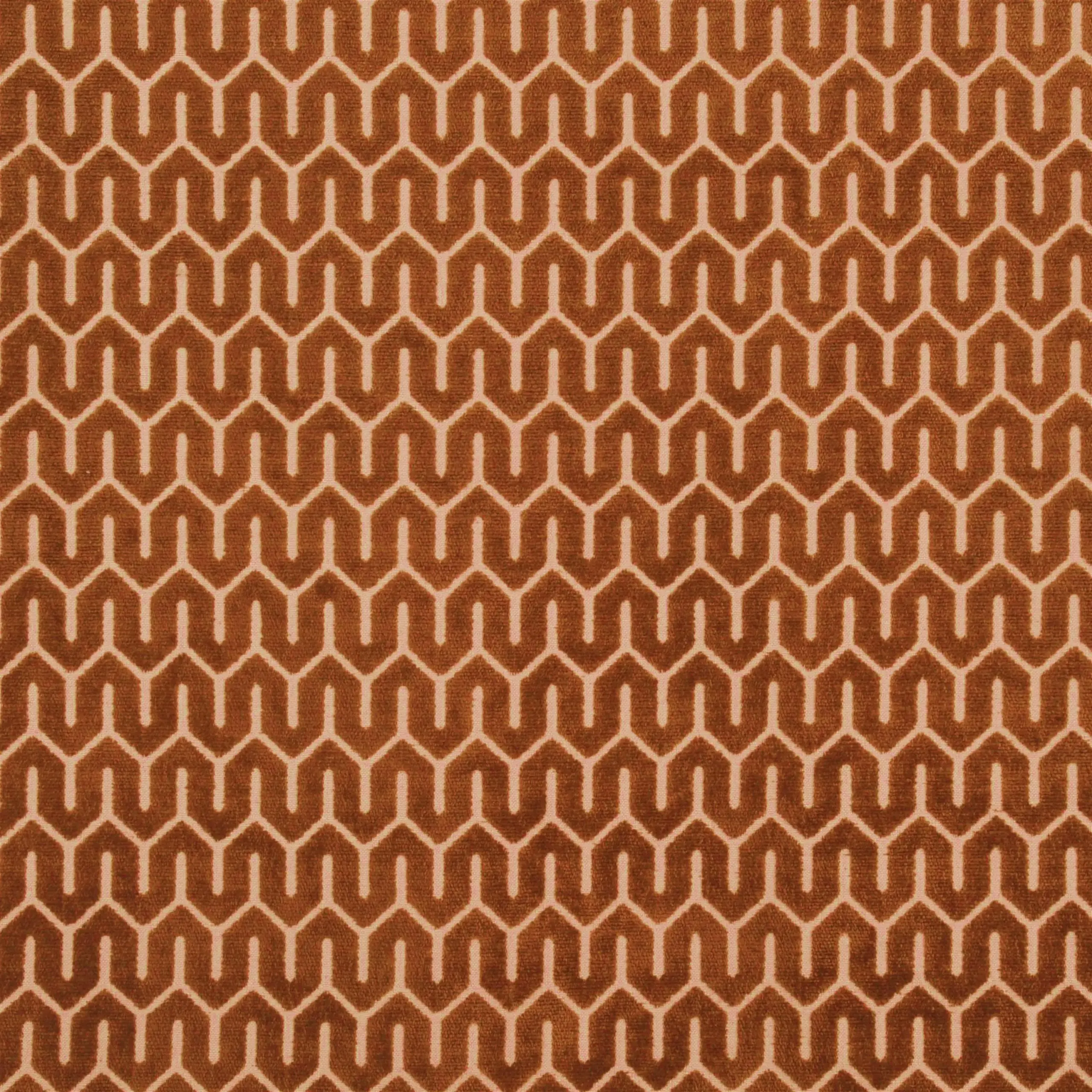 Chestnut 867 | Tunis
