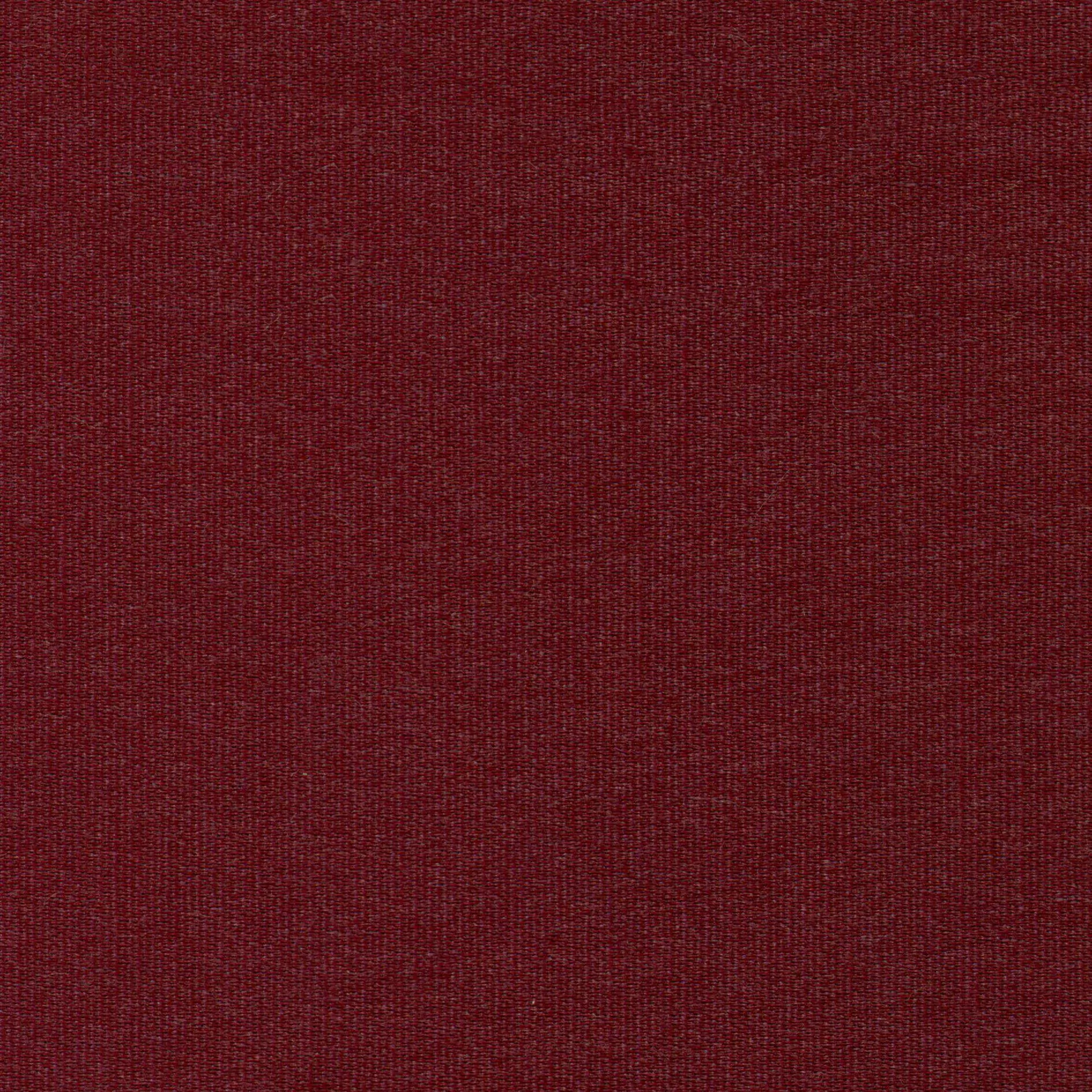 Mauvewood 36 | Melba
