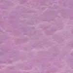 Elderberry 819 | Underground