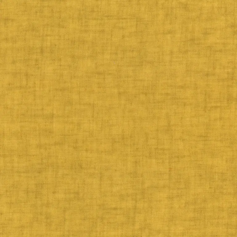 Olive 16