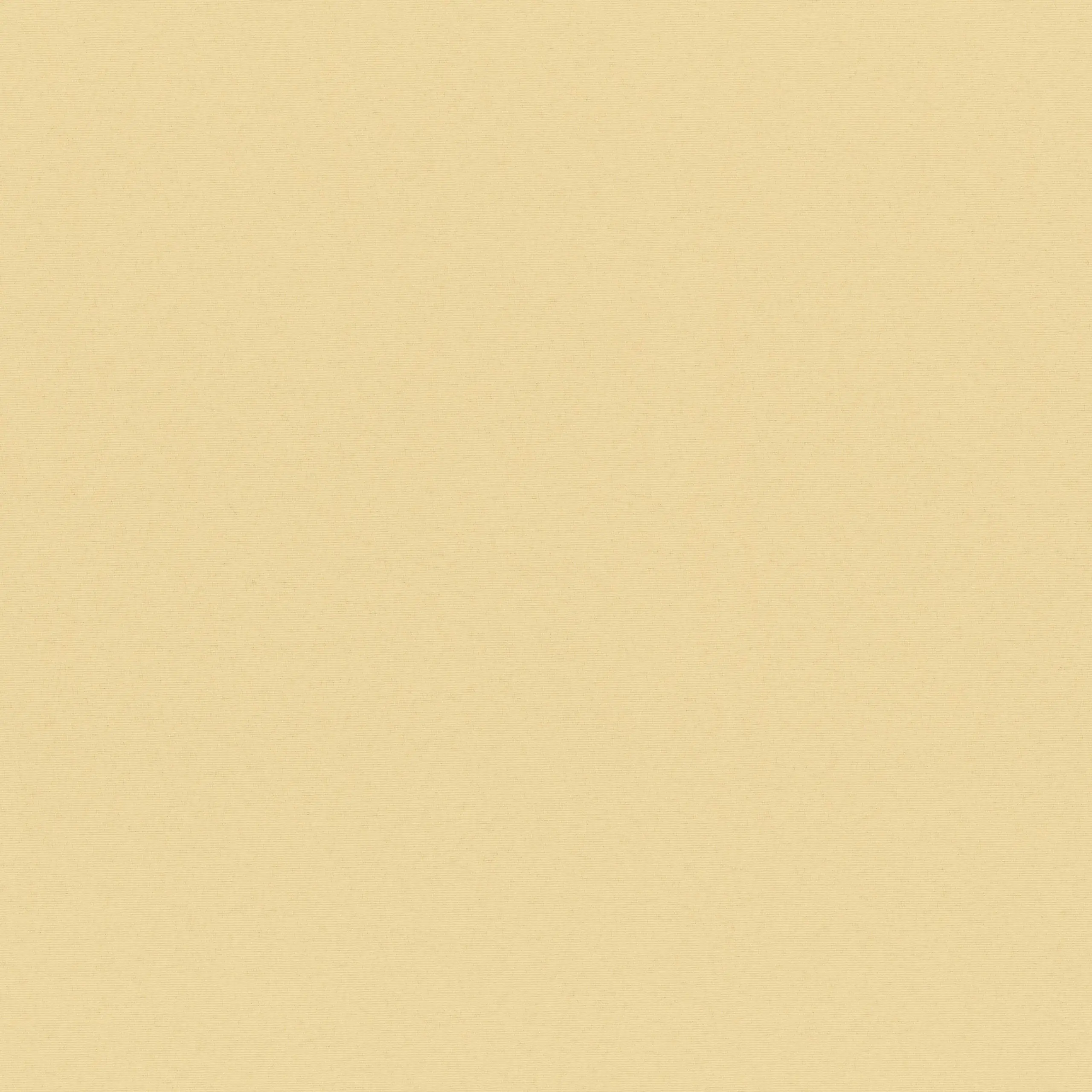 Lamb?s Wool 03 | Sage
