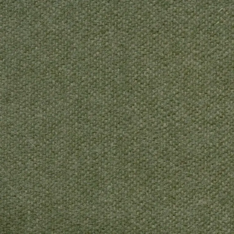 Basil 491