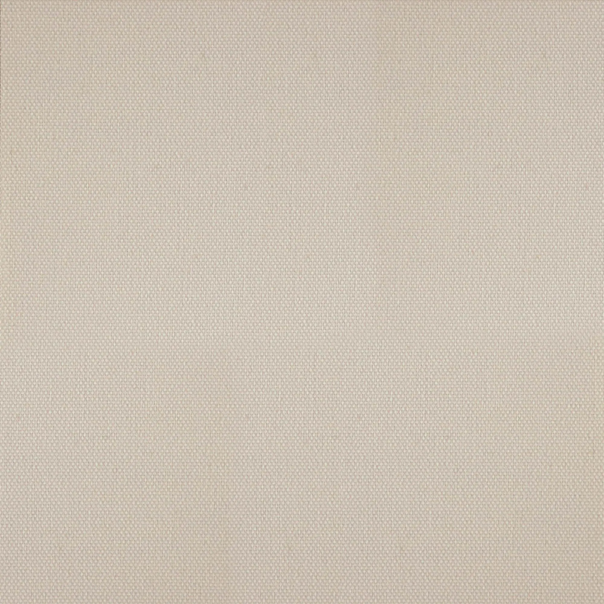 Taupe 078 | Prime