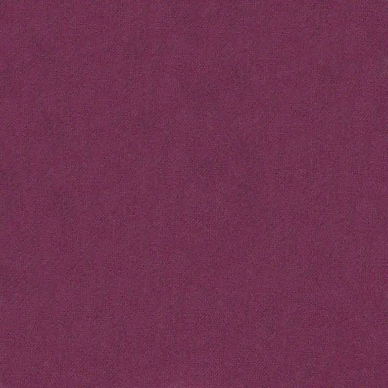 Fuchsia 096