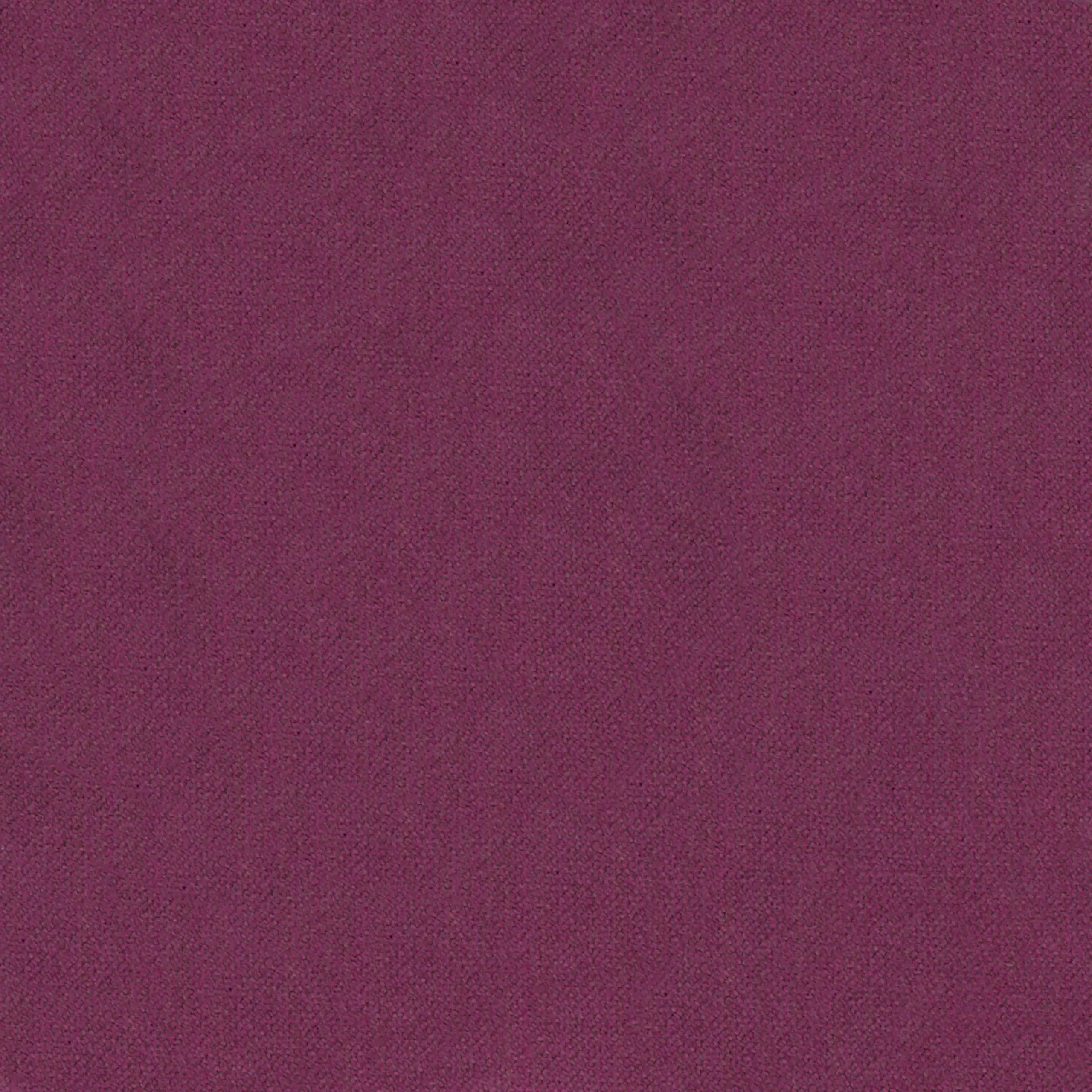 Fuchsia 096 | Severin