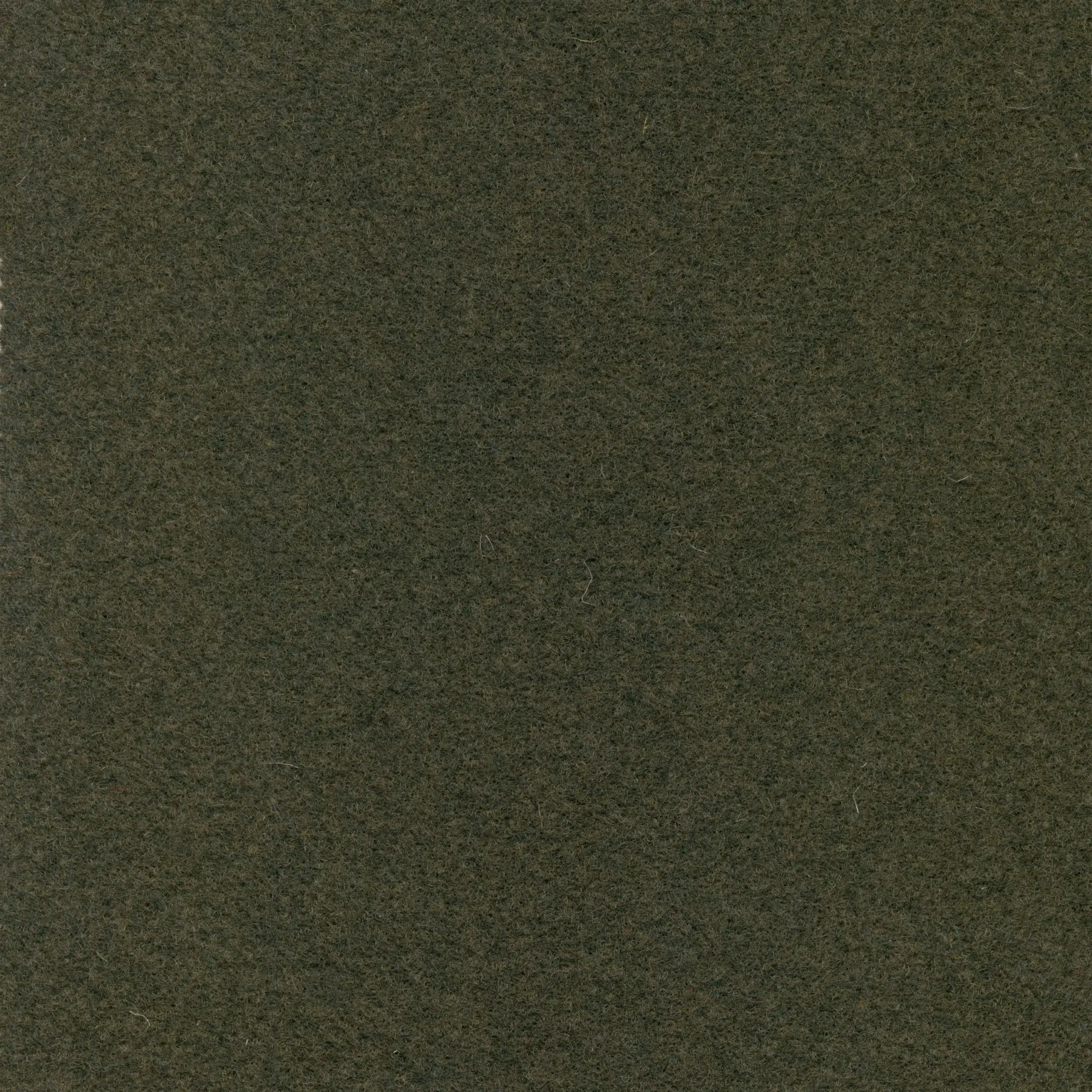 Olive 022 | Walt