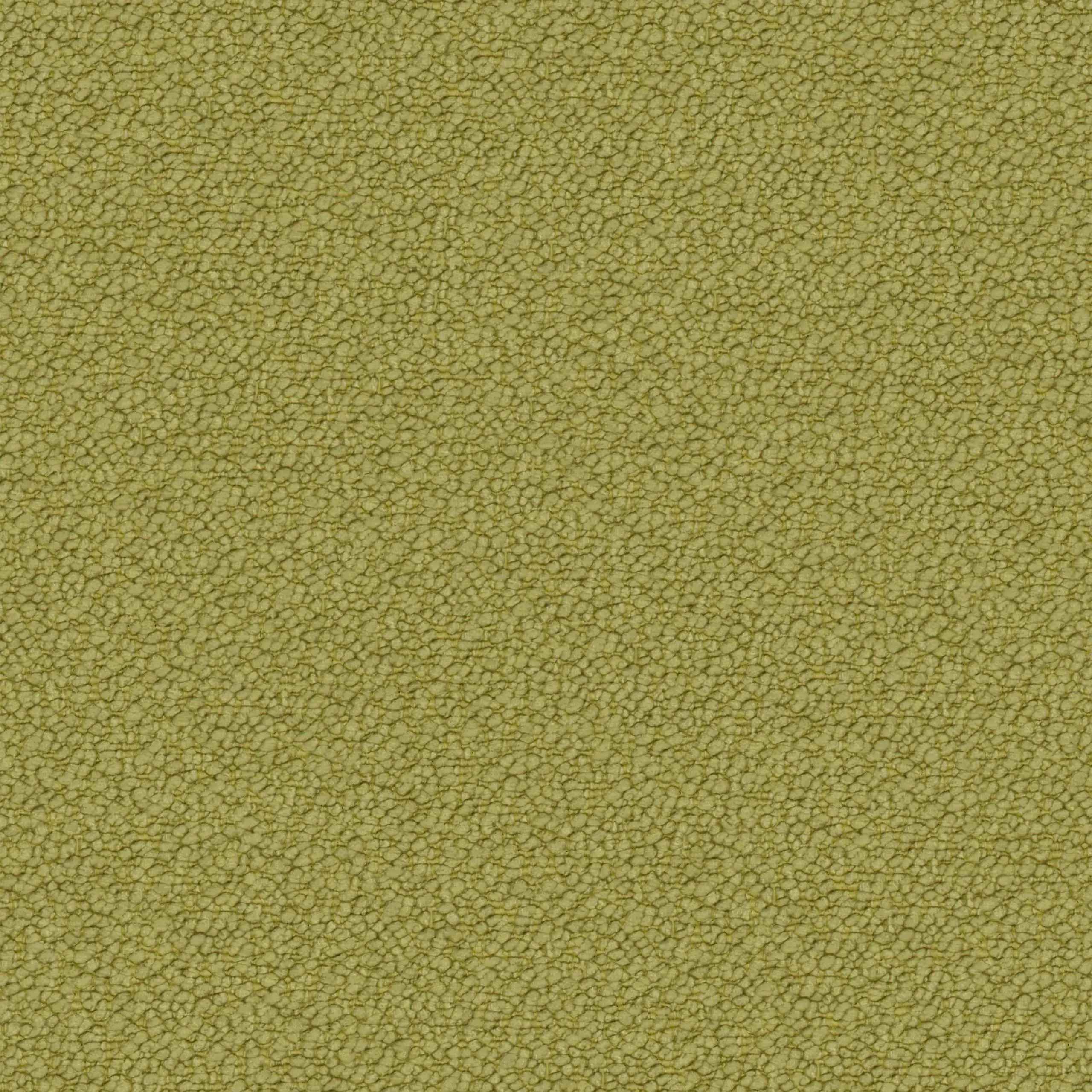 Beechnut 32 | Neve