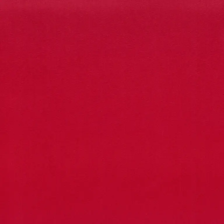 Raspberry 24