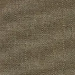Khaki 541 | Saute