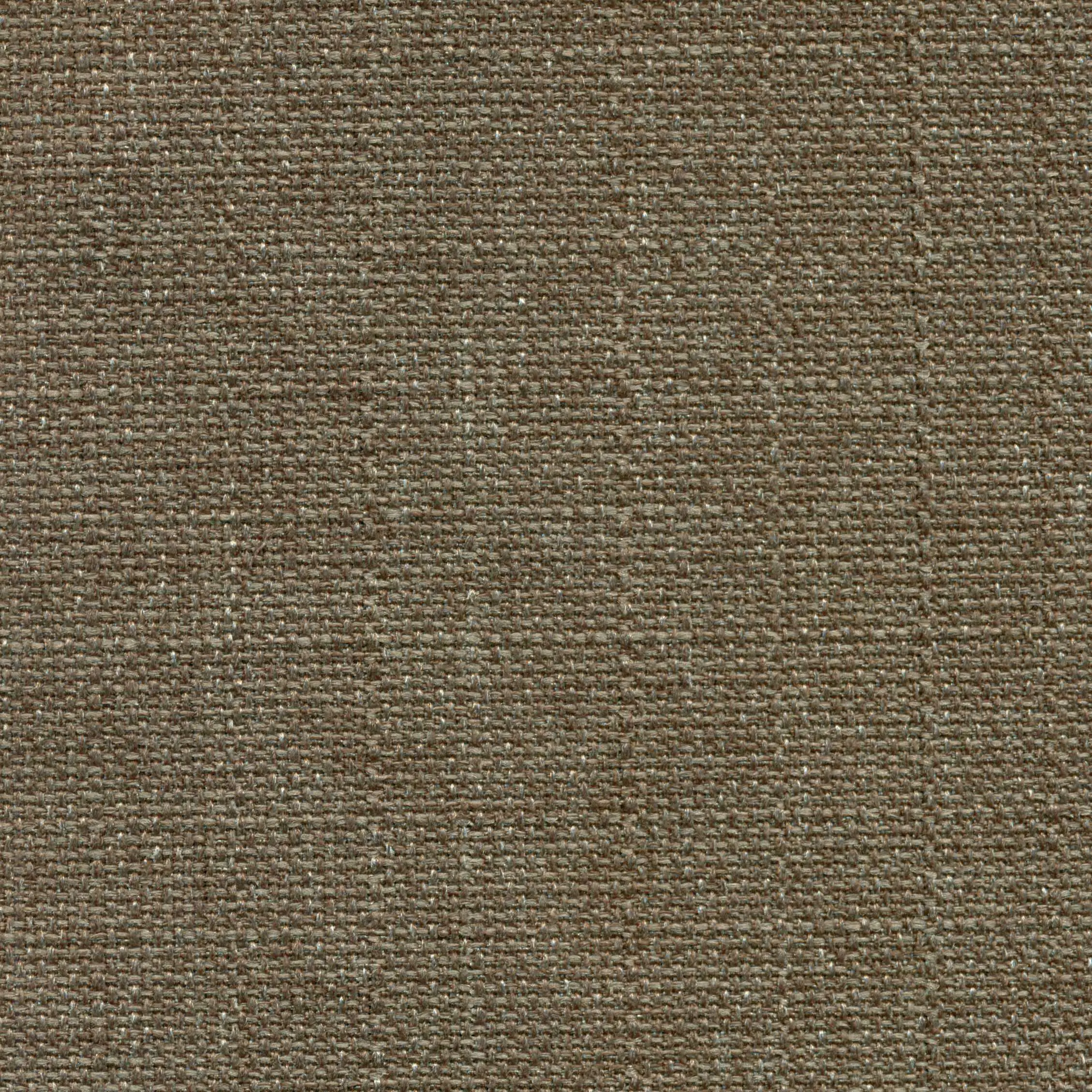 Khaki 541 | Saute