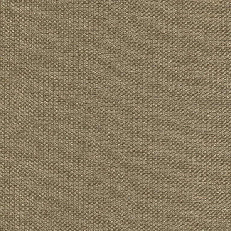 Taupe 10