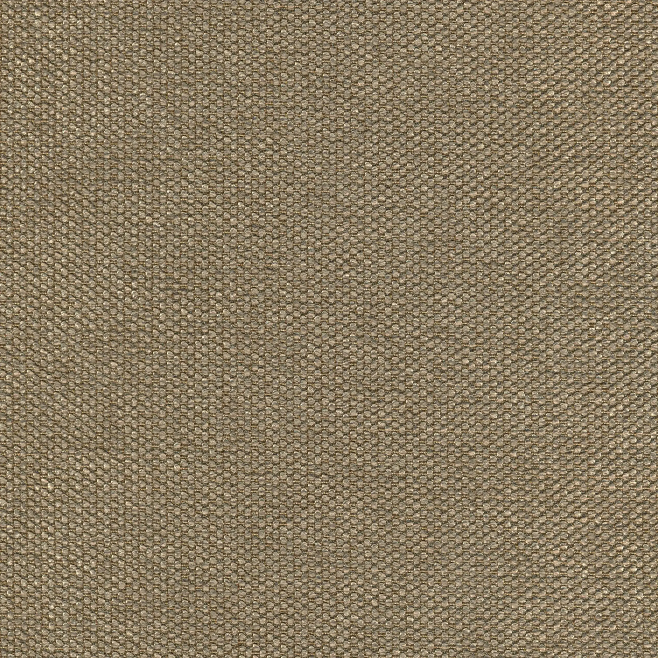 Taupe 10 | Onyx