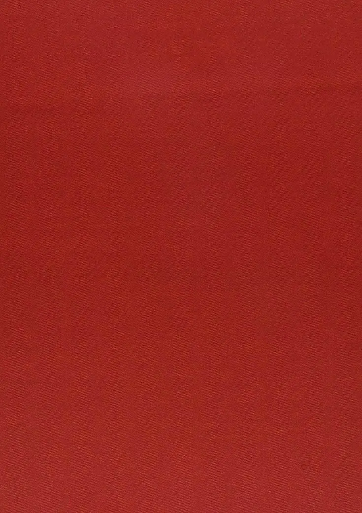 Strawberry 43