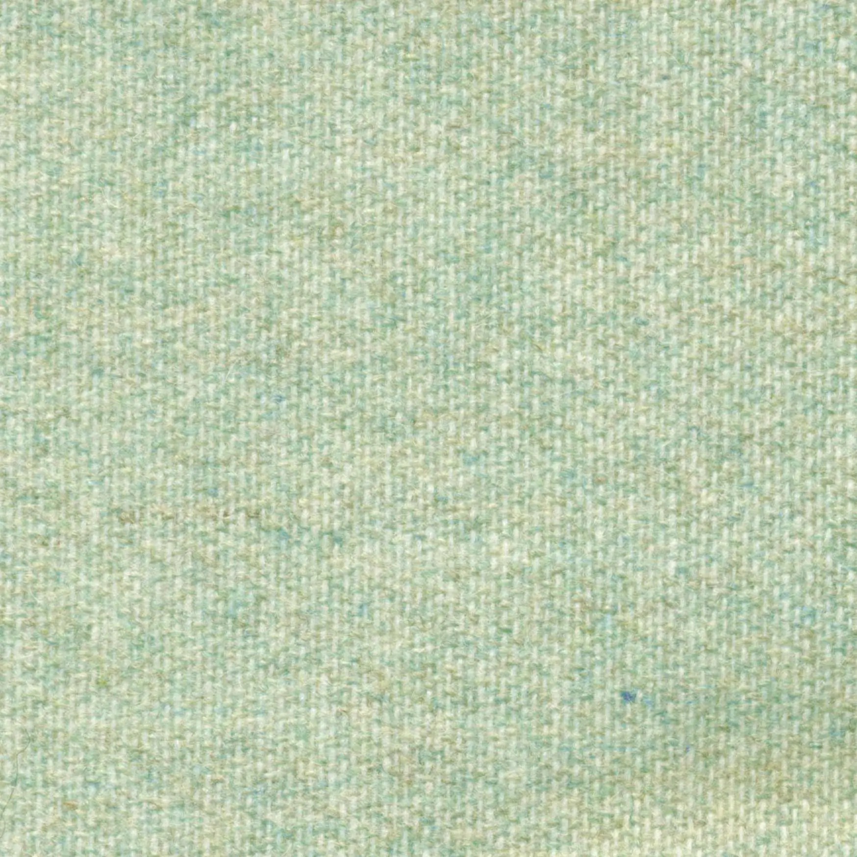 Cameo 511 | Savoy FR