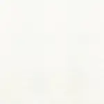 White 511 | Positano