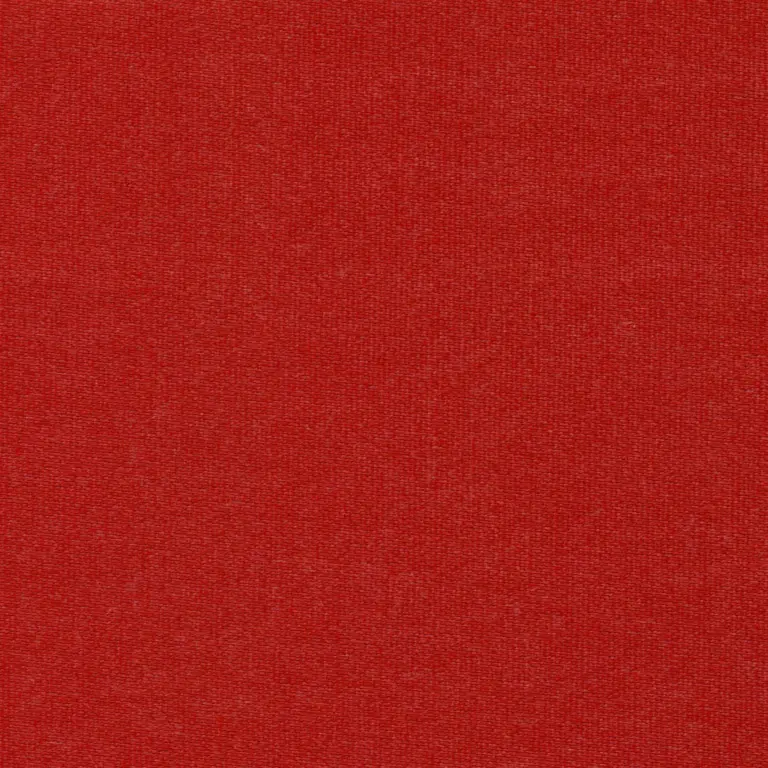Strawberry 37
