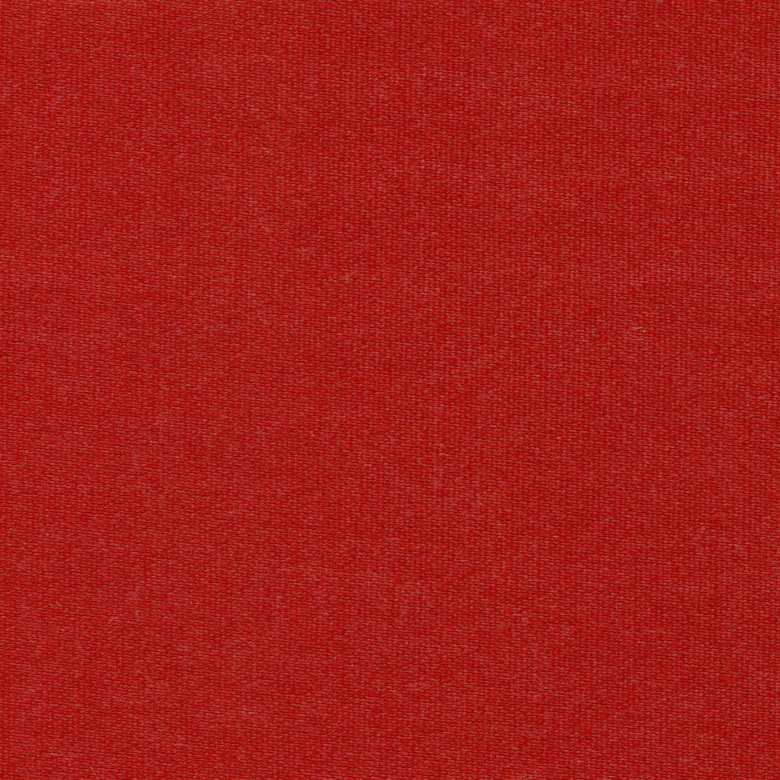 Strawberry 37 | Melba
