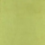 Lime 16 | Palmer