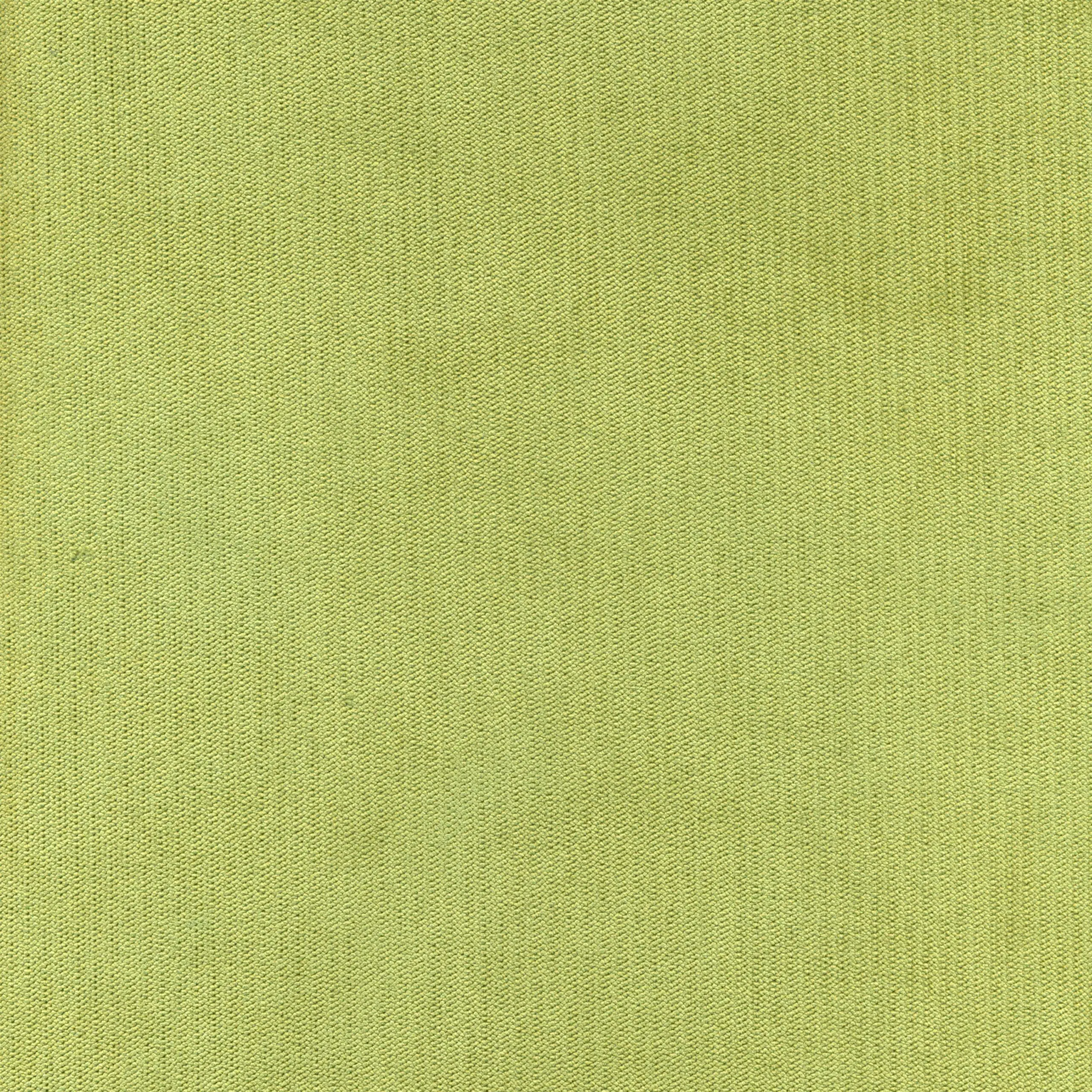 Lime 16 | Palmer