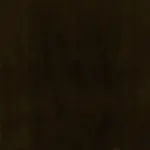 Braz 28 | Oregano