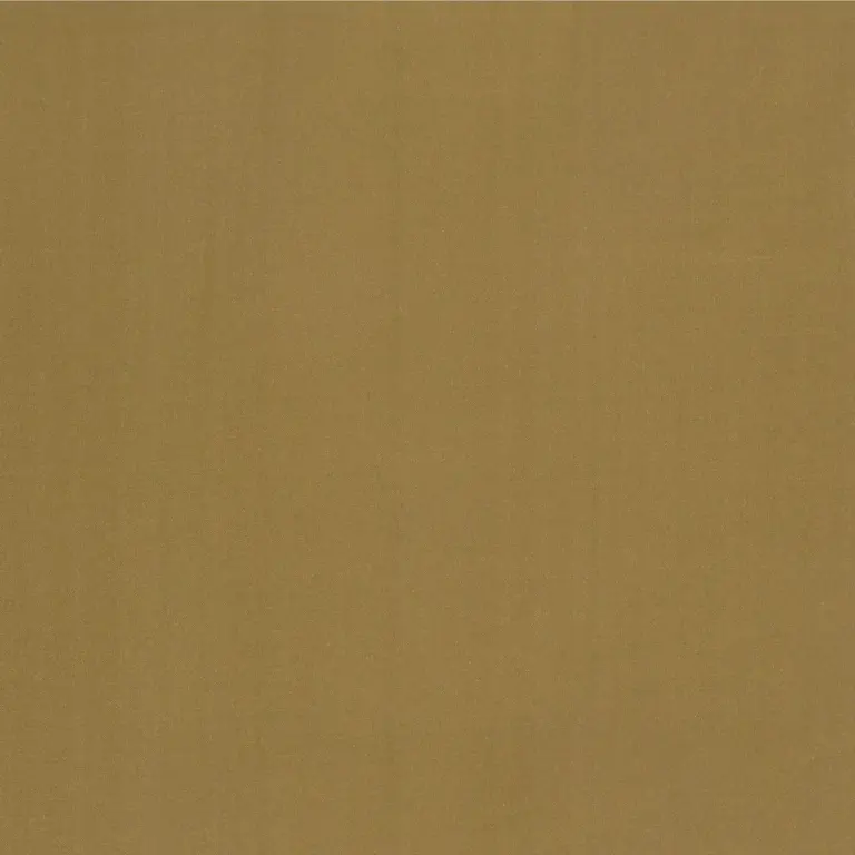 Sahara 4