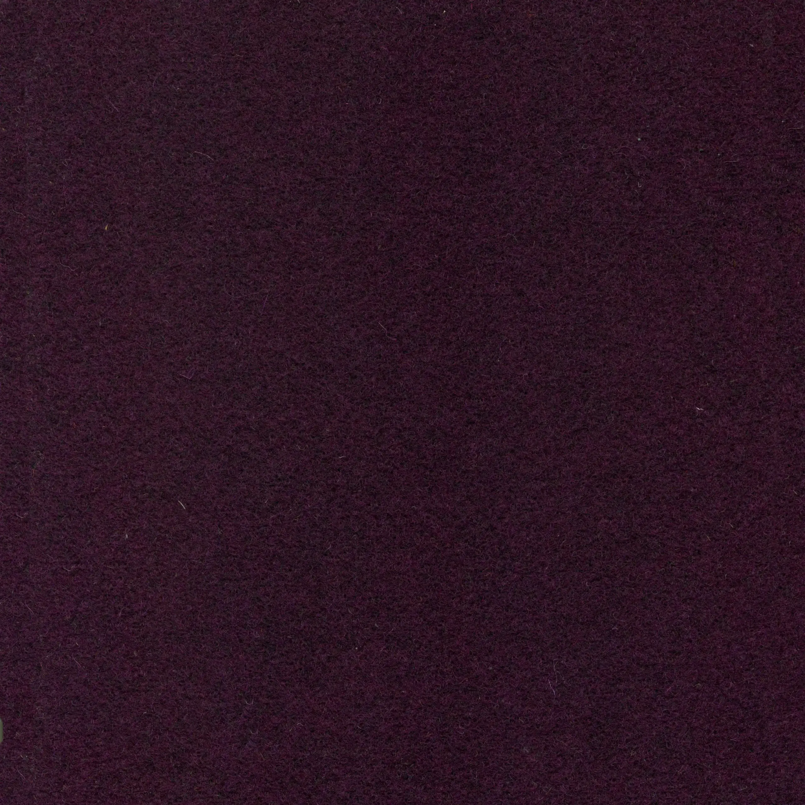 Eggplant 926 | Walt