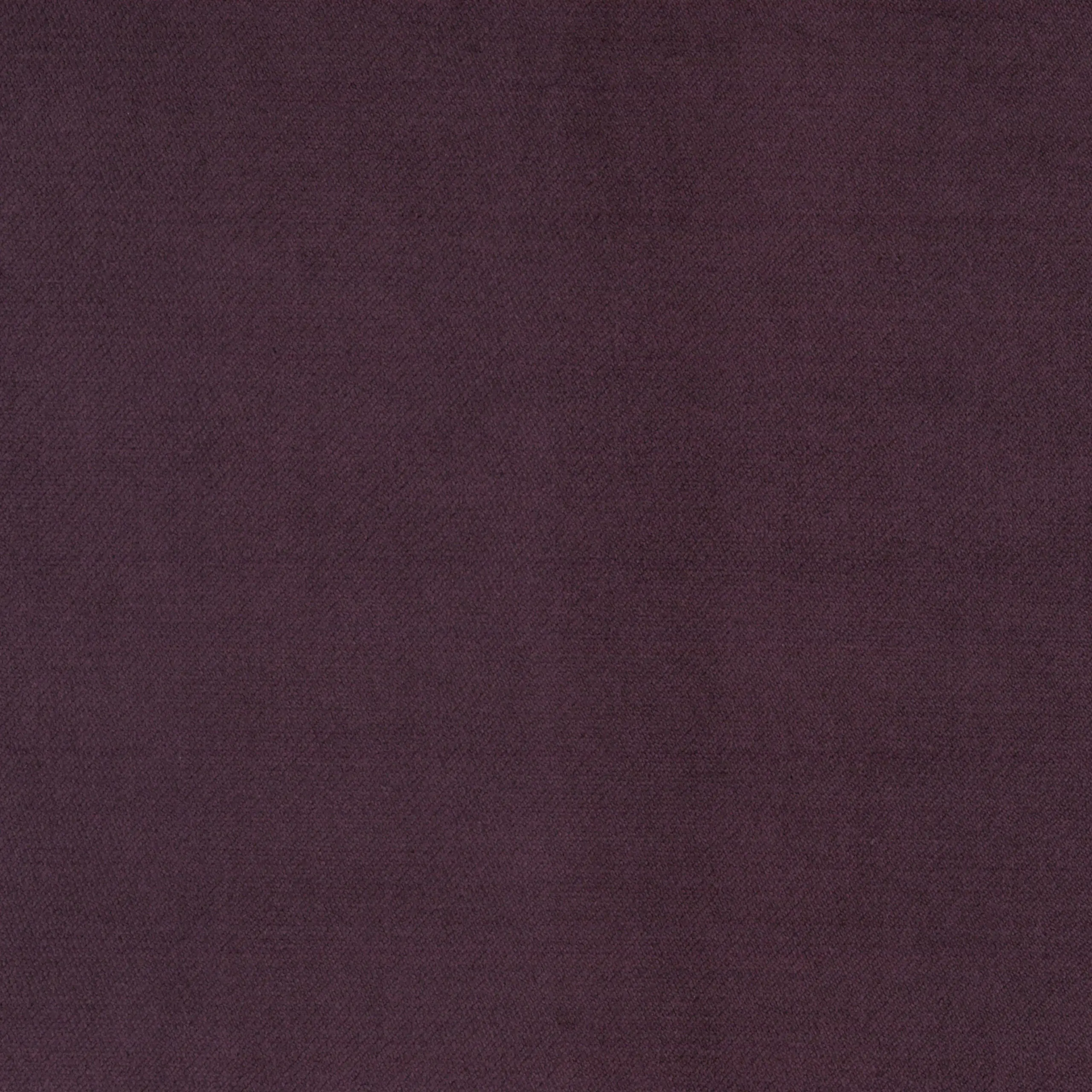 Plum 21 | Orion
