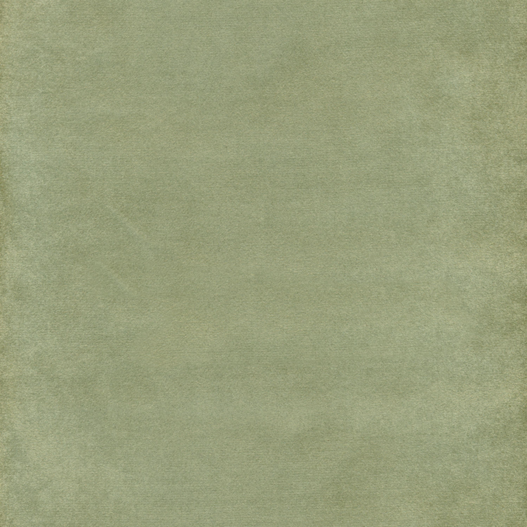 Light Green 12