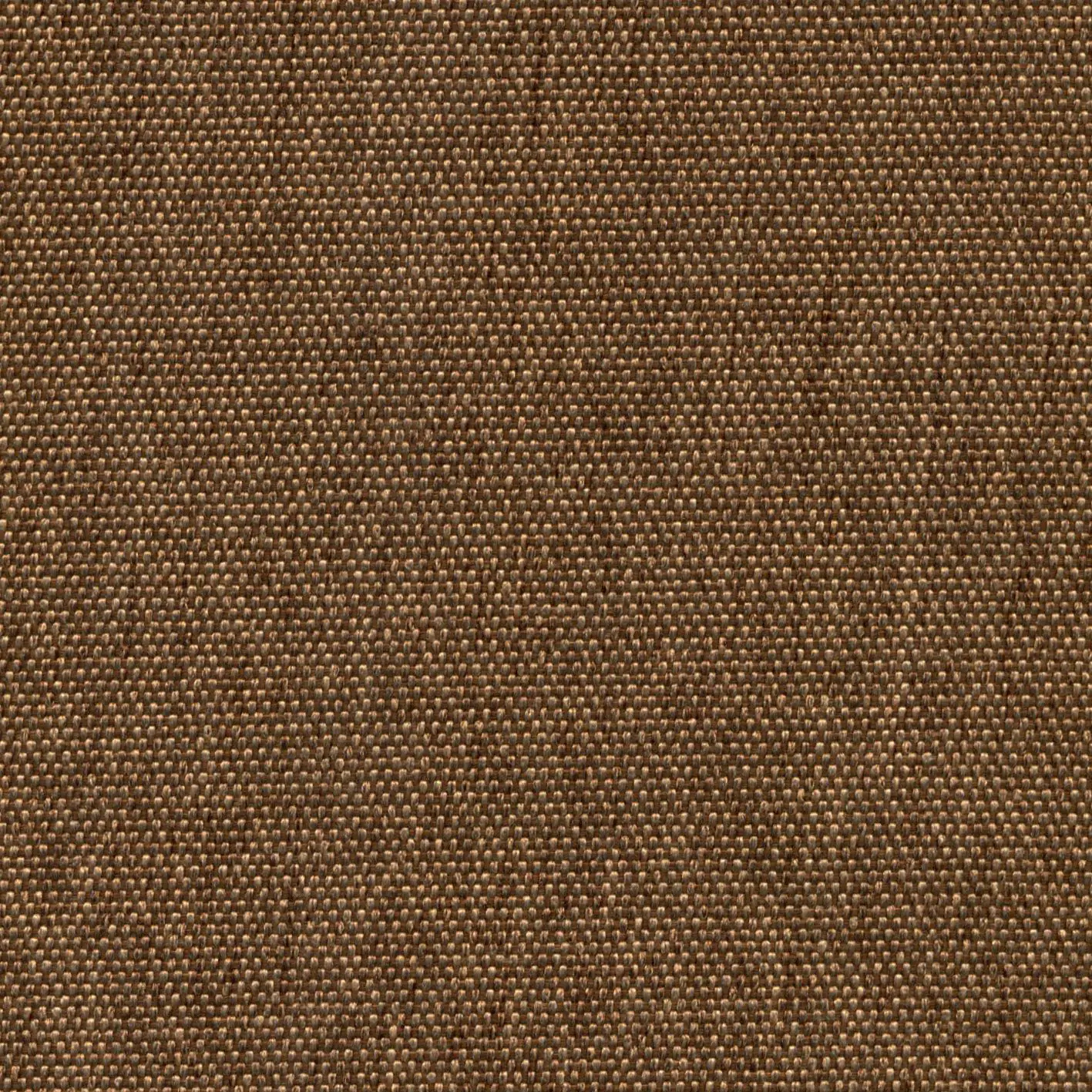 Bronze 907 | Petrus