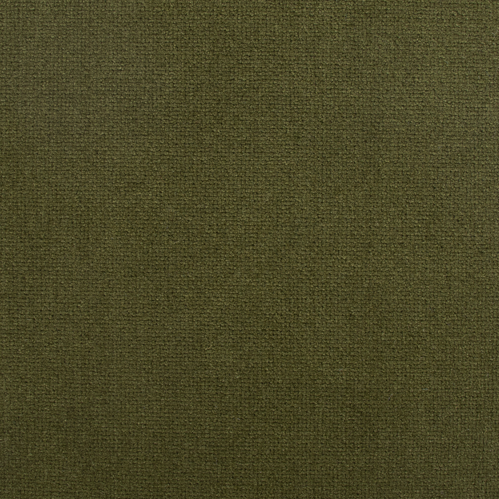Olive | Juba