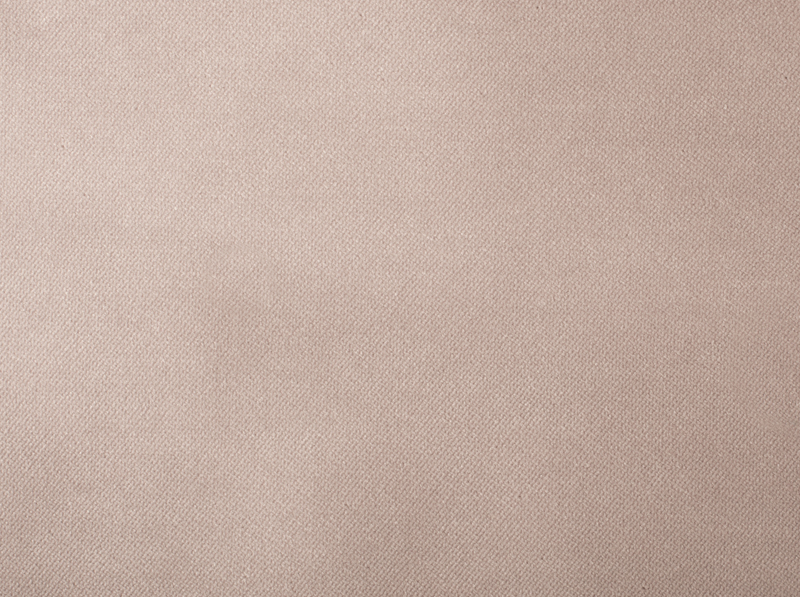 Lavender | Roya