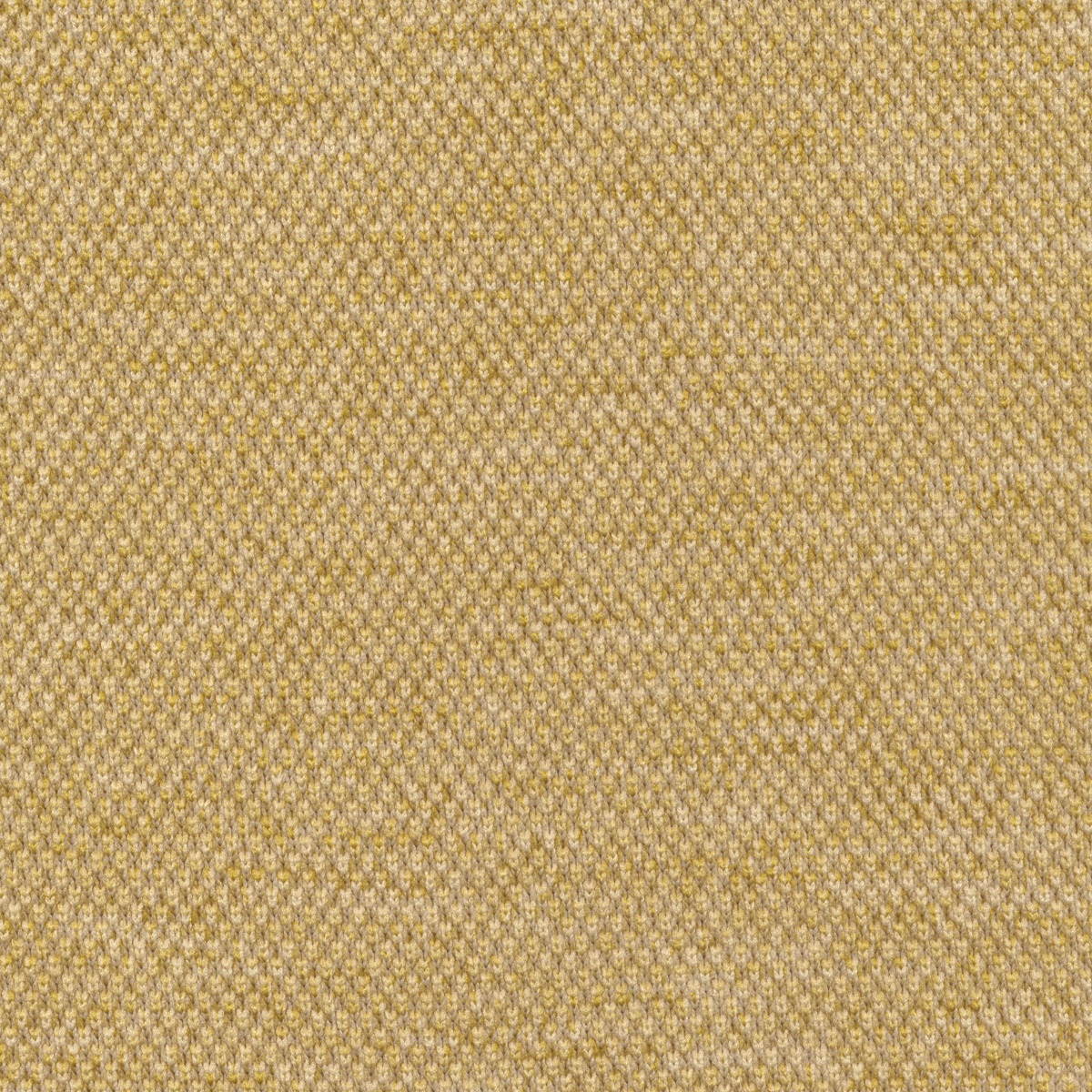 Custard | Tensar
