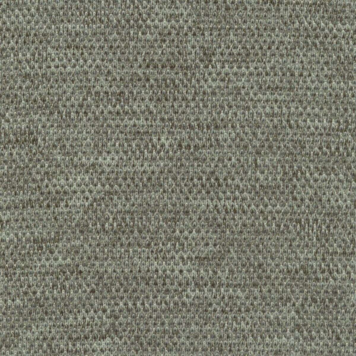 Eucalyptus | Tensar