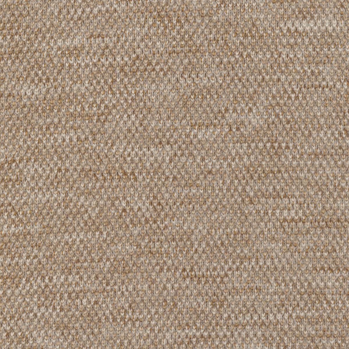 Sepia | Tensar