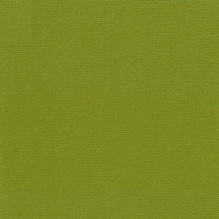 Oasis 32