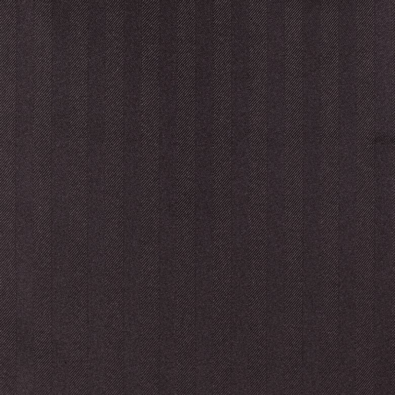 Cacao 02 | Shirley