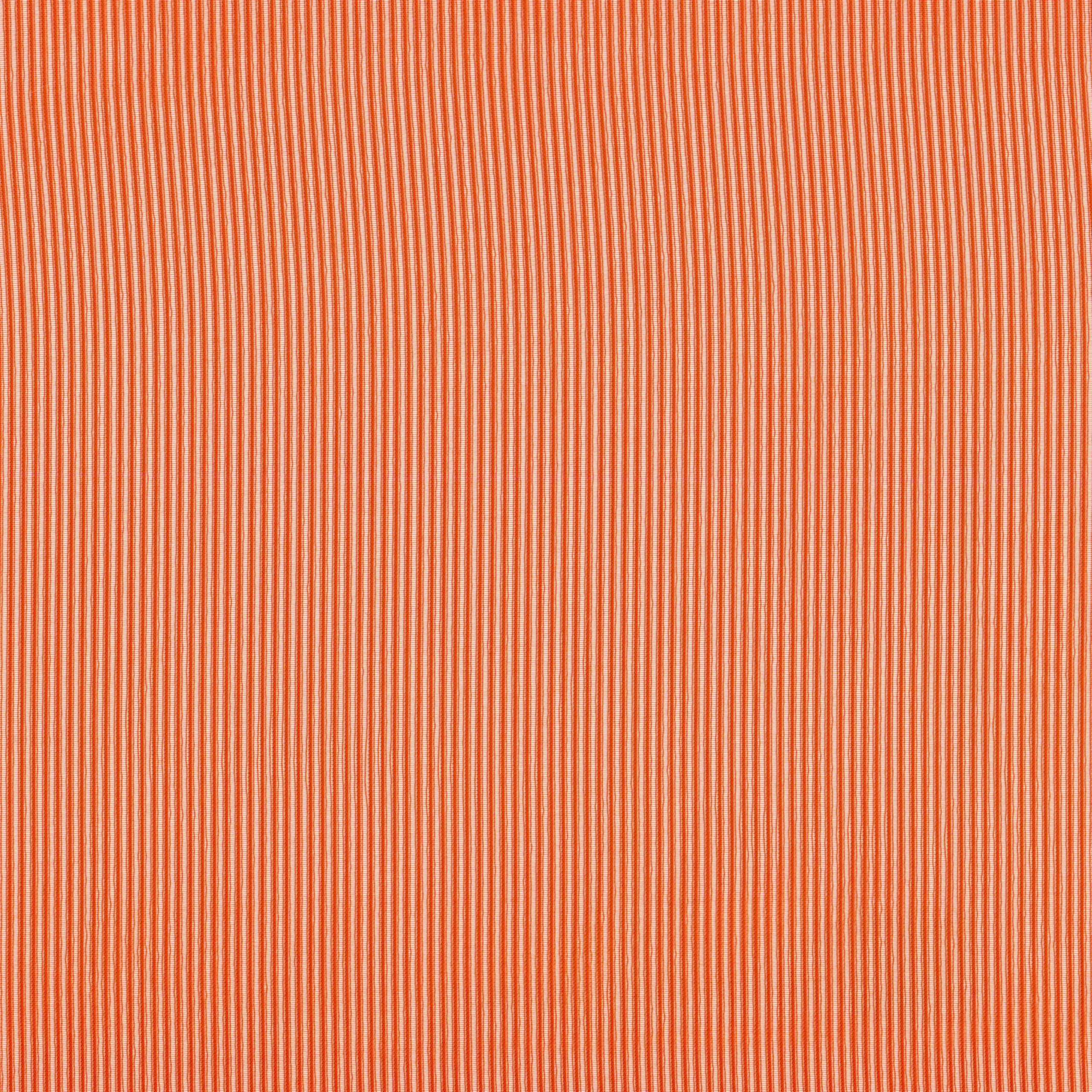 Tangerine 21 | Rita