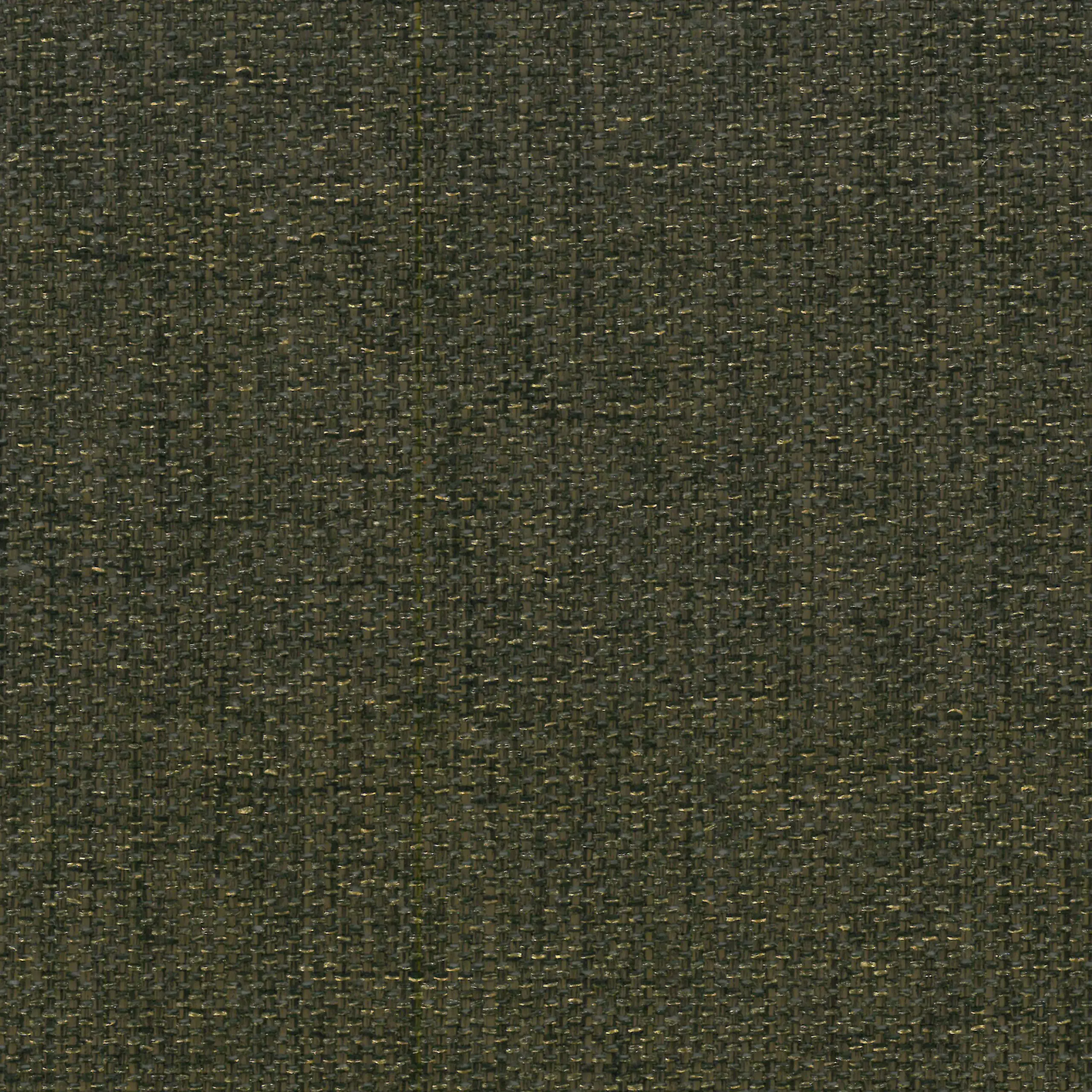 Auburn 69 | Manfred