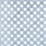 Silver 201 | Ostracion