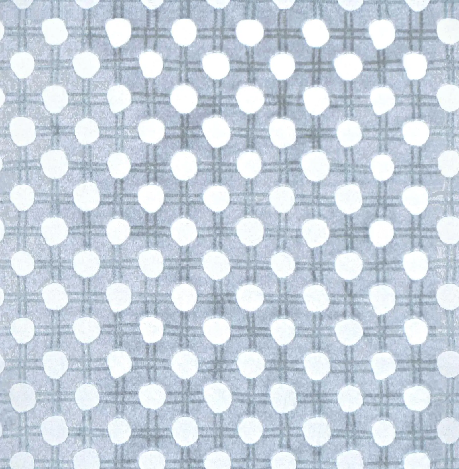 Silver 201 | Ostracion