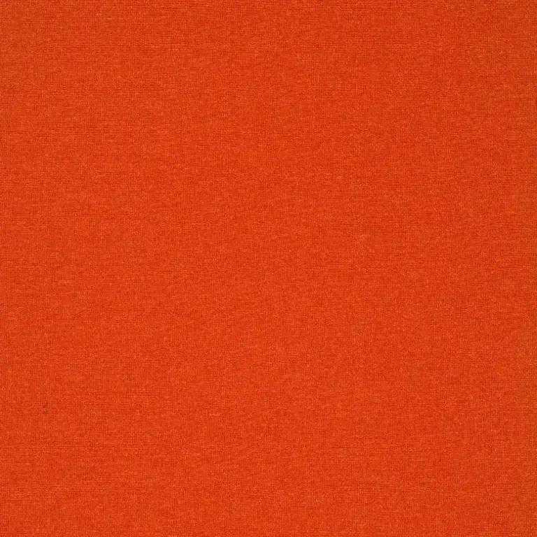 Carrot 21