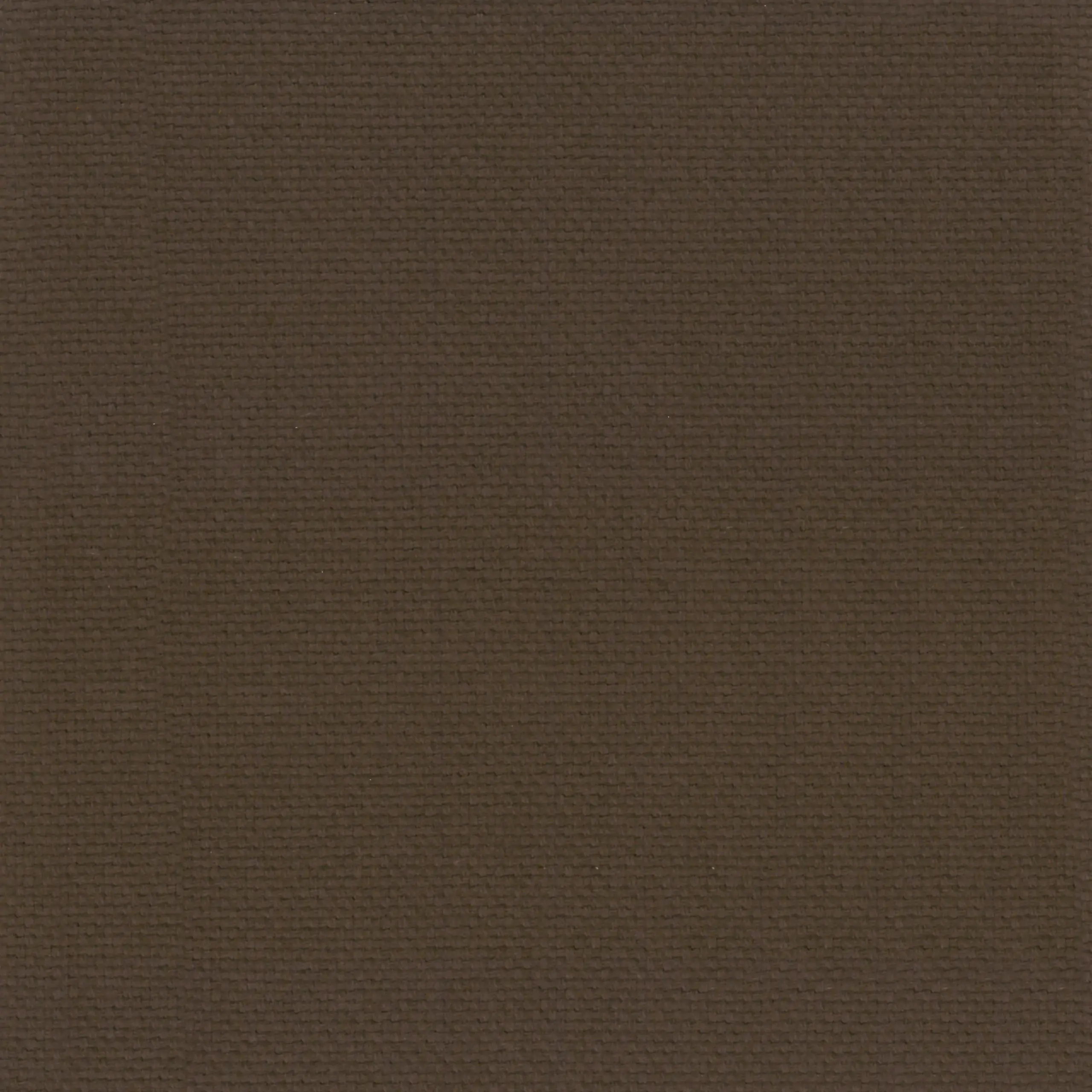Cacao 39 | Ringo