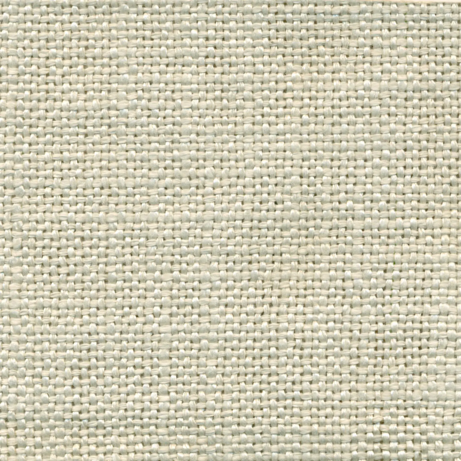 Ivory 3 | Salma