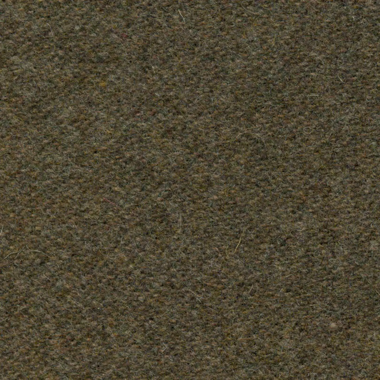 Taupe 039 | Savoy FR