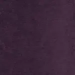 Fuchsia 23 | Verner
