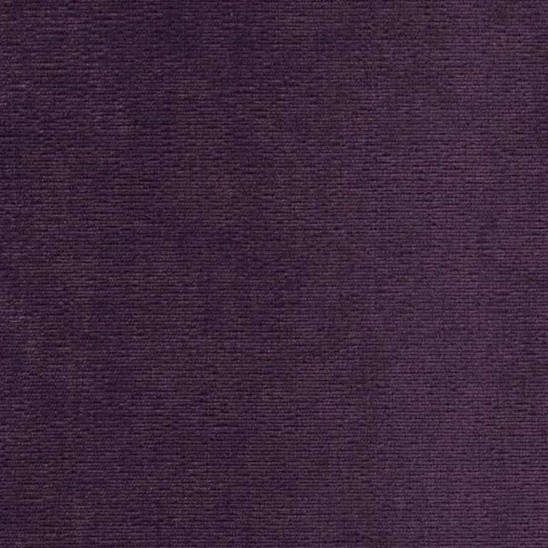 Fuchsia 23