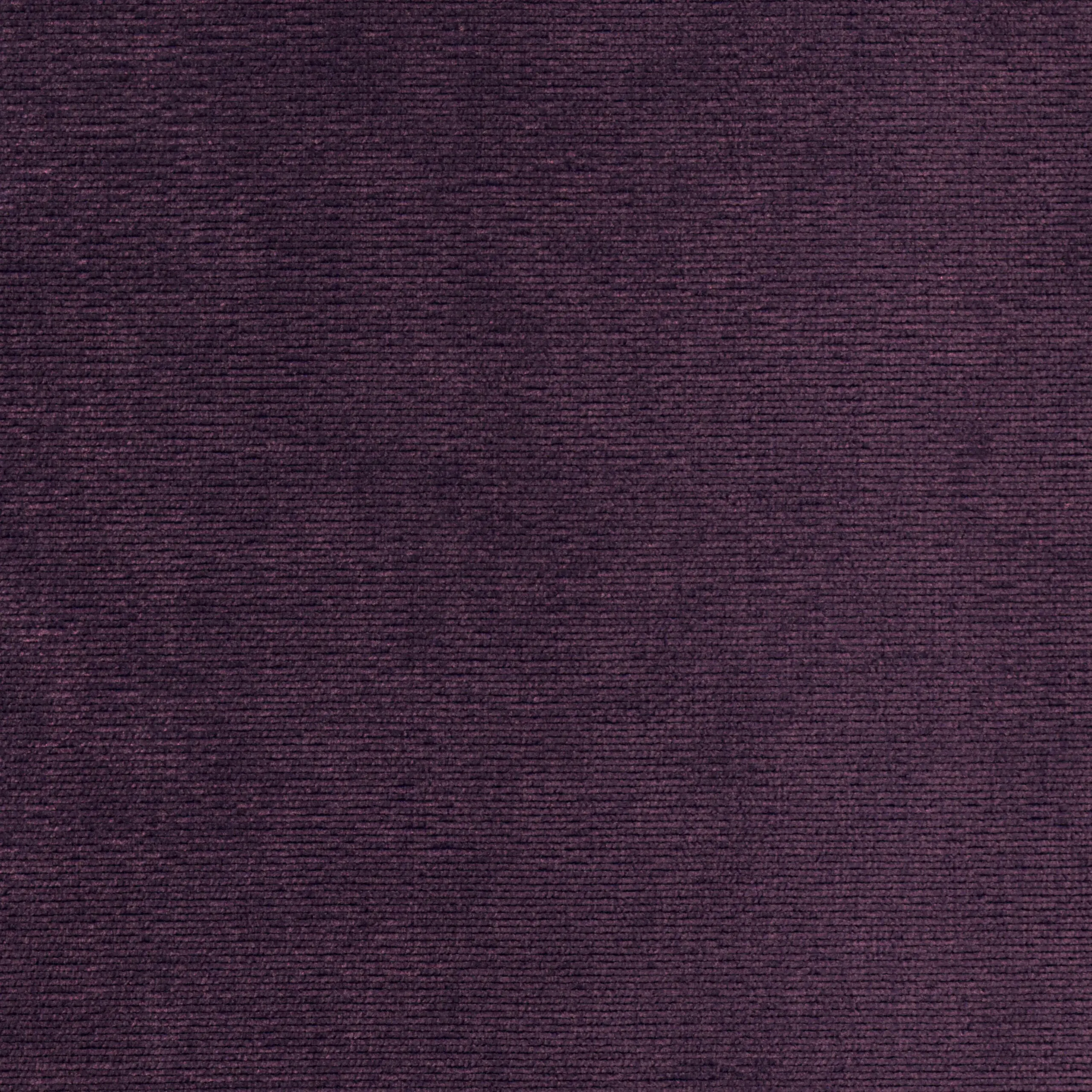 Fuchsia 23 | Verner