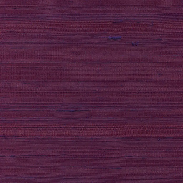 Eggplant 094