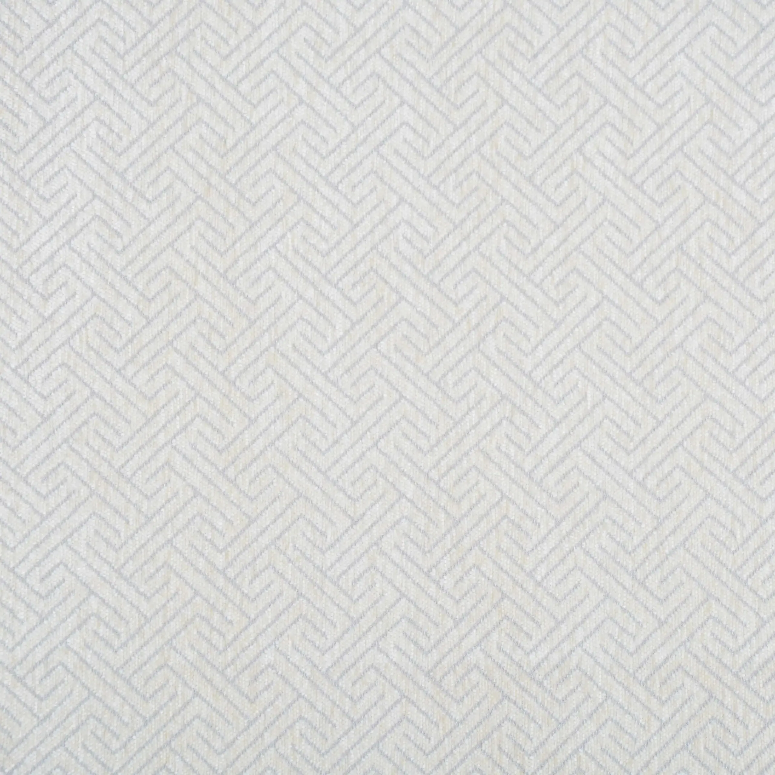 White 02 | Maribel